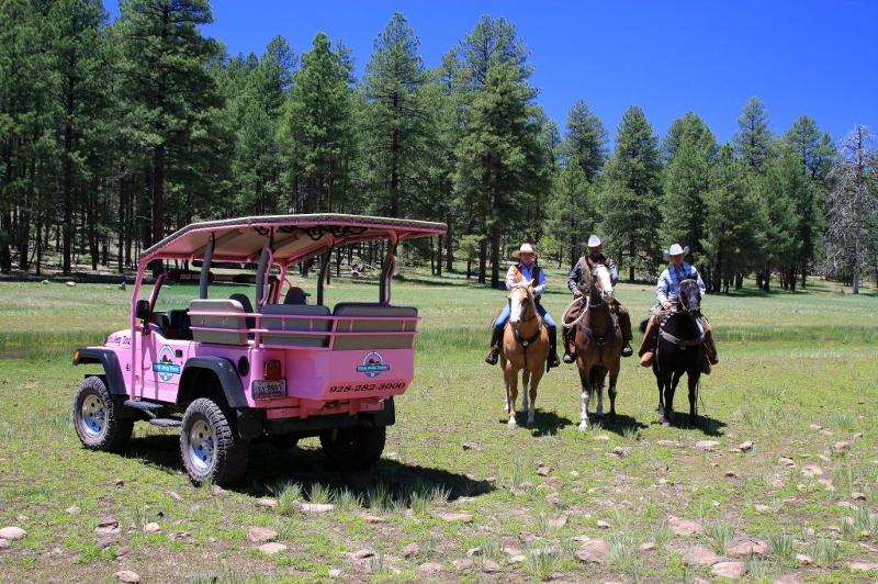 Pink Jeep Rim Ranch Combo